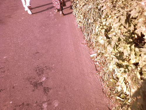 A walk in the country