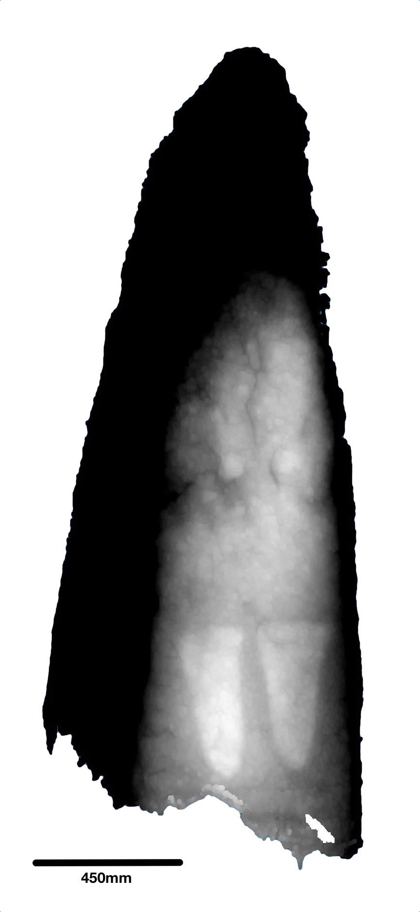 Depth image of the NE (inner leaning face) of the central stone.