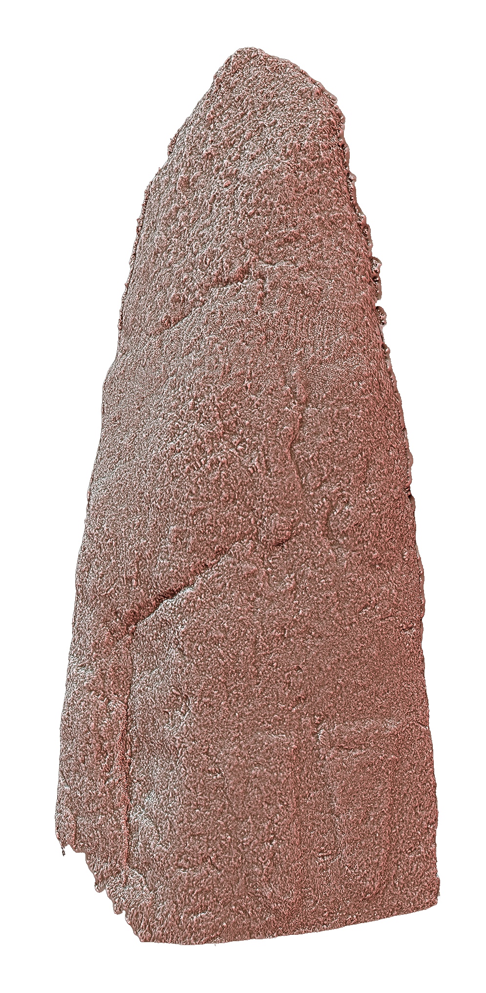 Accessibility shaded image of the carvings.