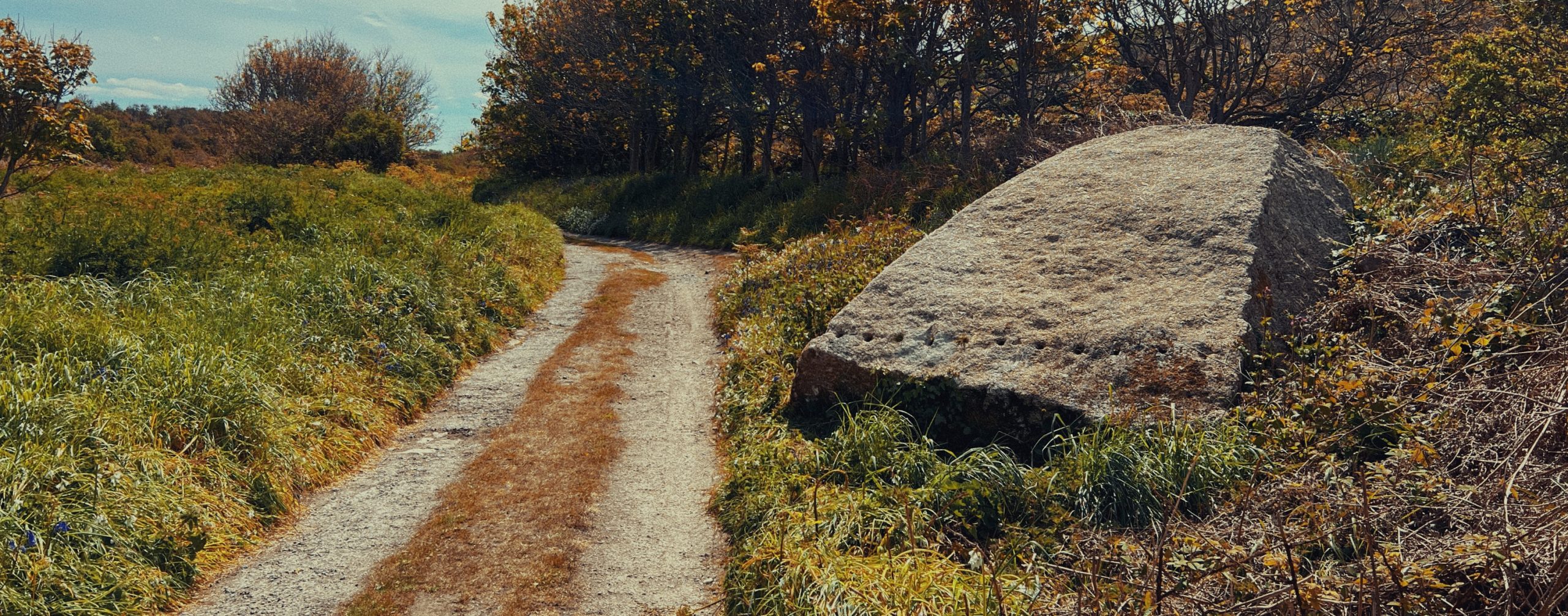 Rock art discovery at Nanjulian, St Just, Cornwall