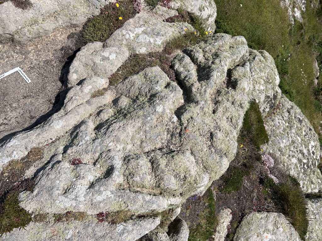 A view of the granite stone containing prehistoric motifs. Much of the grey granite is covered in spiky pale green lichen. Pockets of heather and grass can be seen.