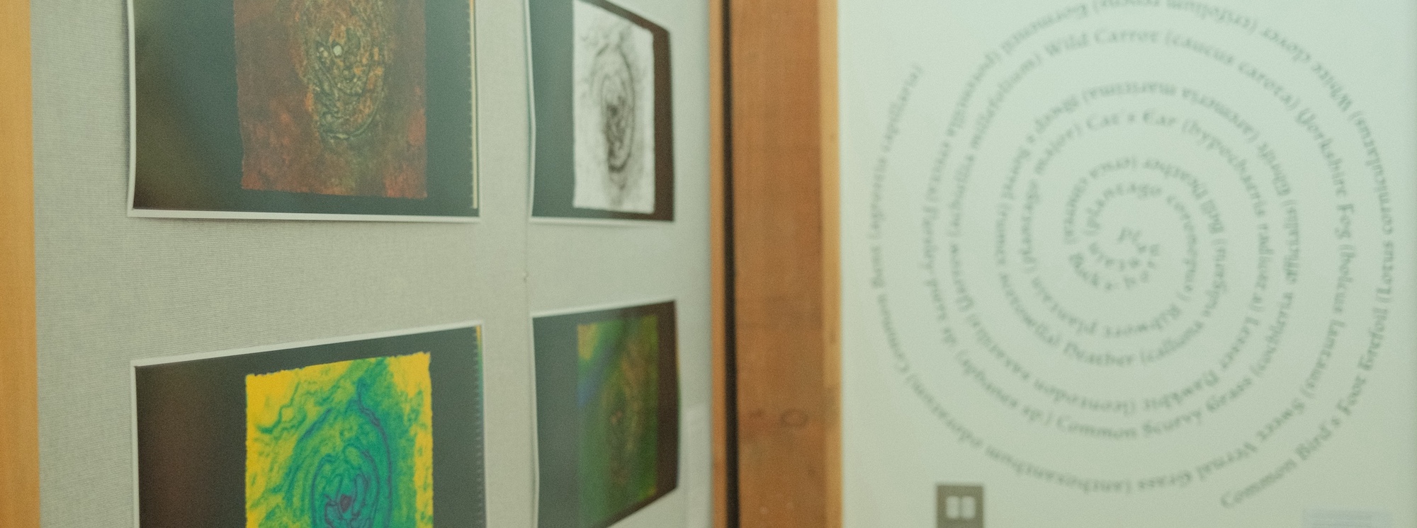 3D survey for the Vanishing Labyrinths of the Isles of Scilly project