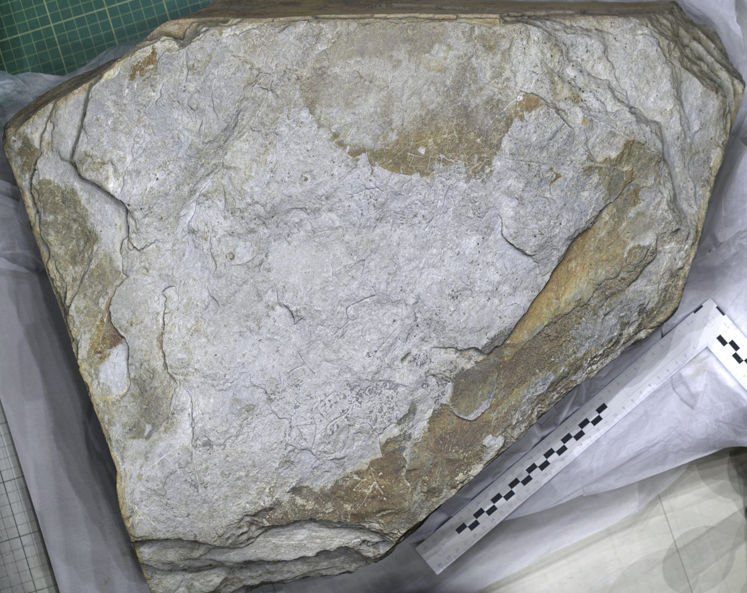 Imaging the Tintagel early medieval inscribed slate